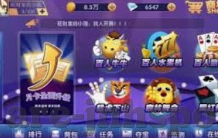 澳门新葡萄赌场女荷官-澳门新葡萄赌场女荷官，赌场中的独特风景线